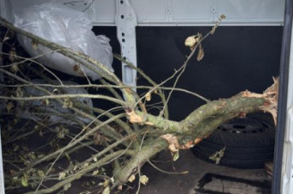 Custode avant gauche (porte) RENAULT MASTER 3