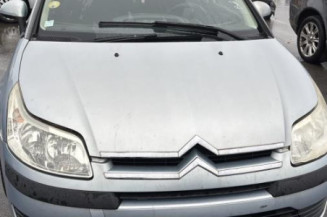 Custode avant droit (porte) CITROEN C4 1