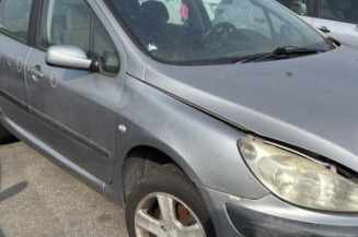 Custode avant droit (porte) PEUGEOT 307
