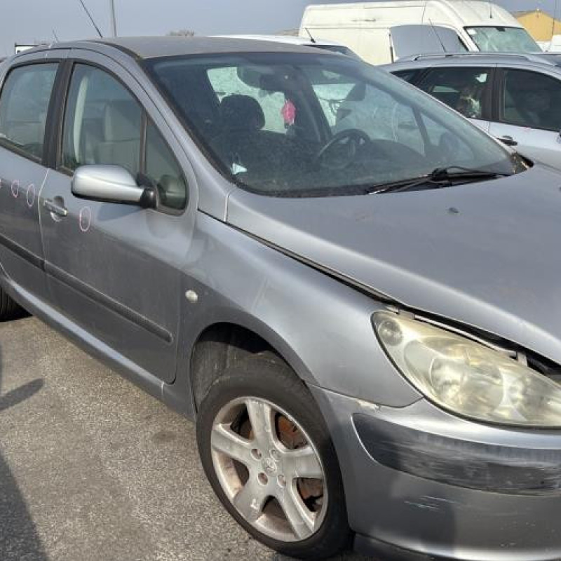 Custode avant droit (porte) PEUGEOT 307 Photo n°6