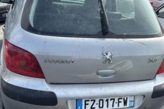 Custode avant droit (porte) PEUGEOT 307