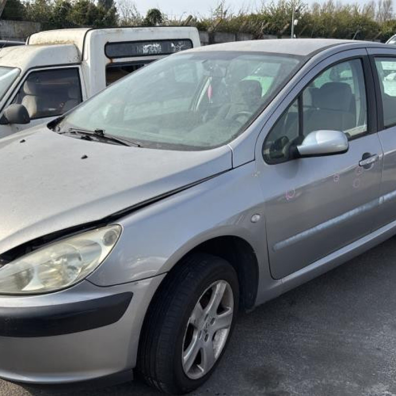 Custode avant gauche (porte) PEUGEOT 307 Photo n°5