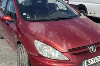 Custode avant gauche (porte) PEUGEOT 307