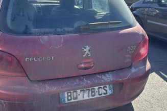 Custode avant gauche (porte) PEUGEOT 307