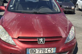 Custode avant gauche (porte) PEUGEOT 307