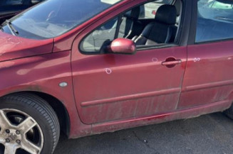 Custode avant gauche (porte) PEUGEOT 307
