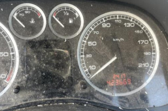 Custode avant gauche (porte) PEUGEOT 307