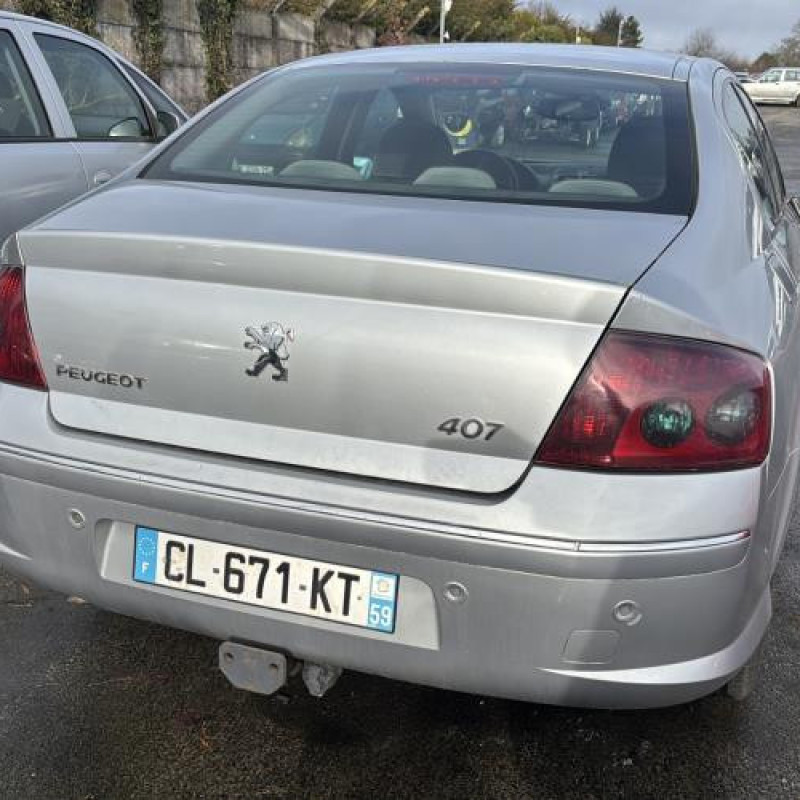 Custode avant droit (porte) PEUGEOT 407 Photo n°12