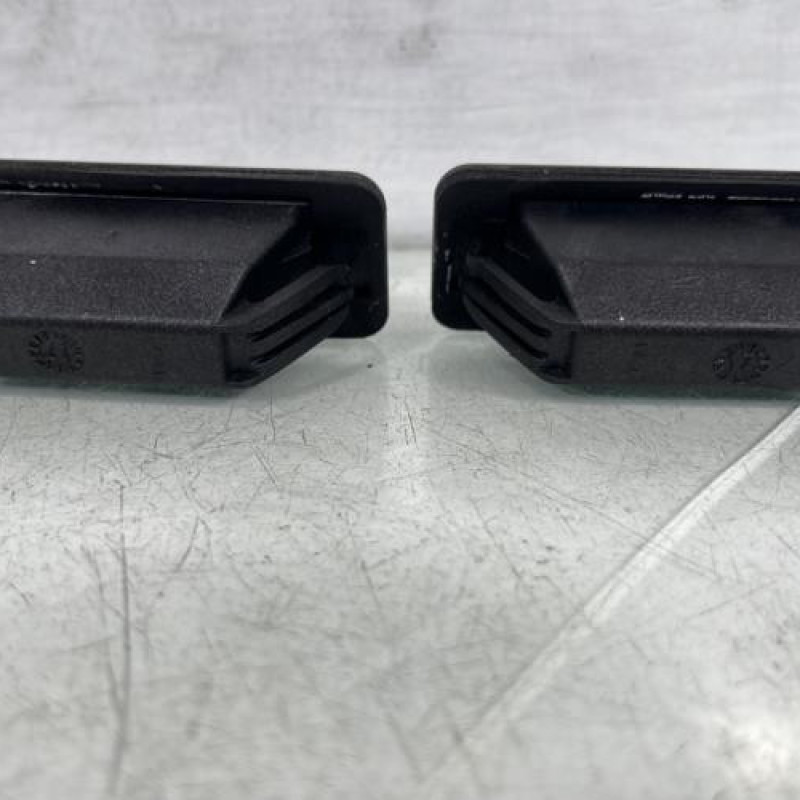 Eclairage de plaque CITROEN C4 PICASSO 2 Photo n°2