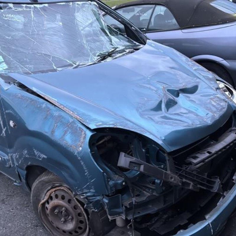 Custode arriere gauche RENAULT KANGOO 1 Photo n°10