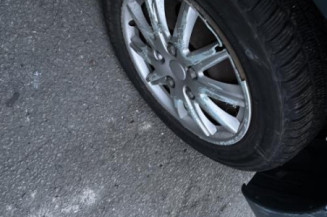 Custode arriere gauche RENAULT KANGOO 1