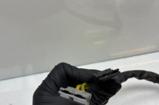 Neiman RENAULT KANGOO 1