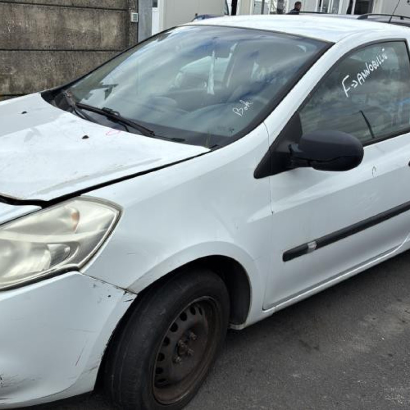 Eclairage de plaque RENAULT CLIO 3 Photo n°5