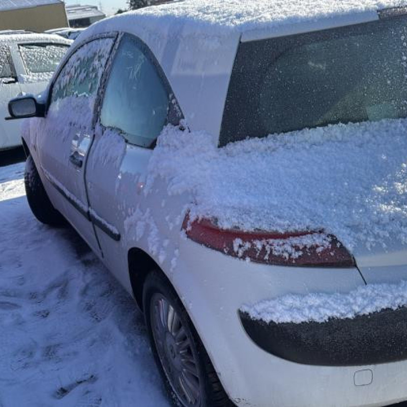 Custode arriere droit RENAULT MEGANE 2 Photo n°9