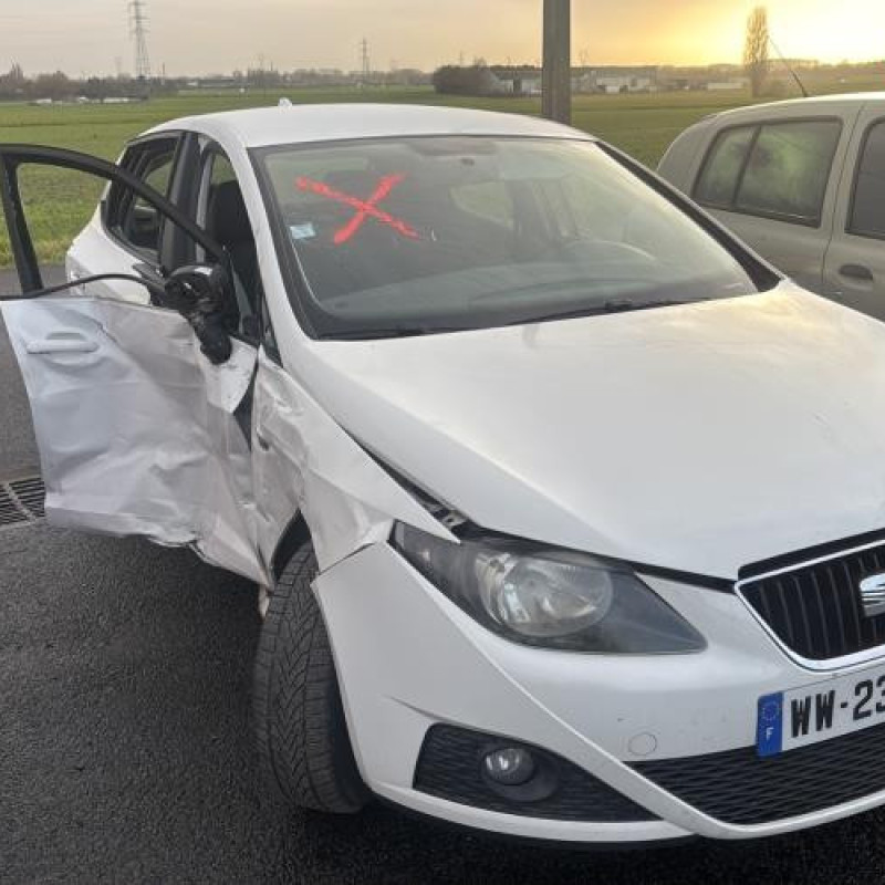 Custode arriere droit SEAT IBIZA 4 Photo n°4