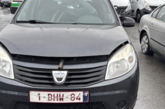 Custode arriere gauche (porte) DACIA SANDERO 1