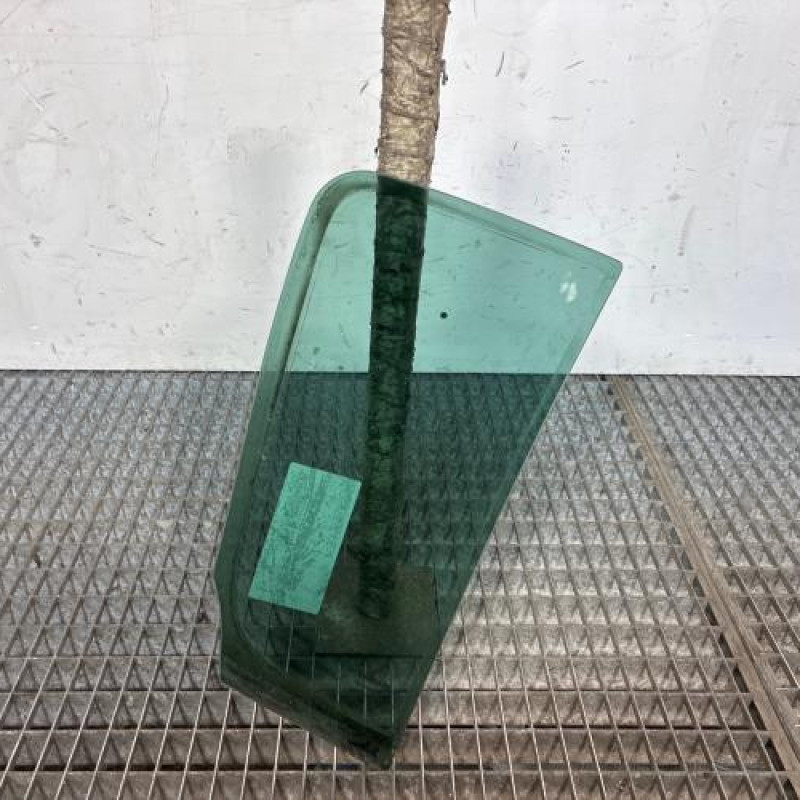 Custode arriere gauche (porte) RENAULT CLIO 3 Photo n°2