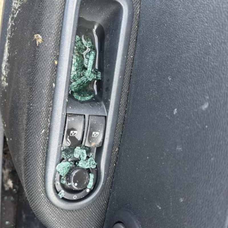 Custode arriere gauche (porte) RENAULT CLIO 3 Photo n°13