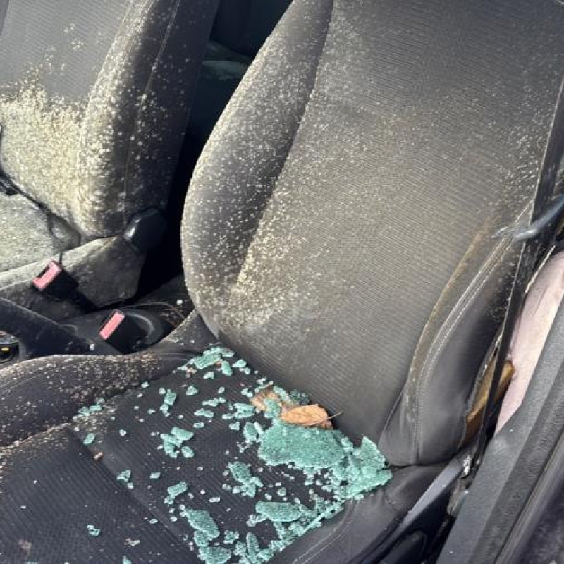 Custode arriere gauche (porte) RENAULT CLIO 3 Photo n°14