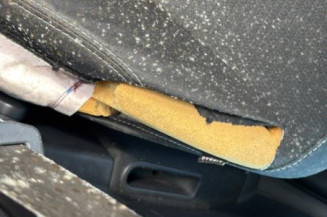 Custode arriere gauche (porte) RENAULT CLIO 3