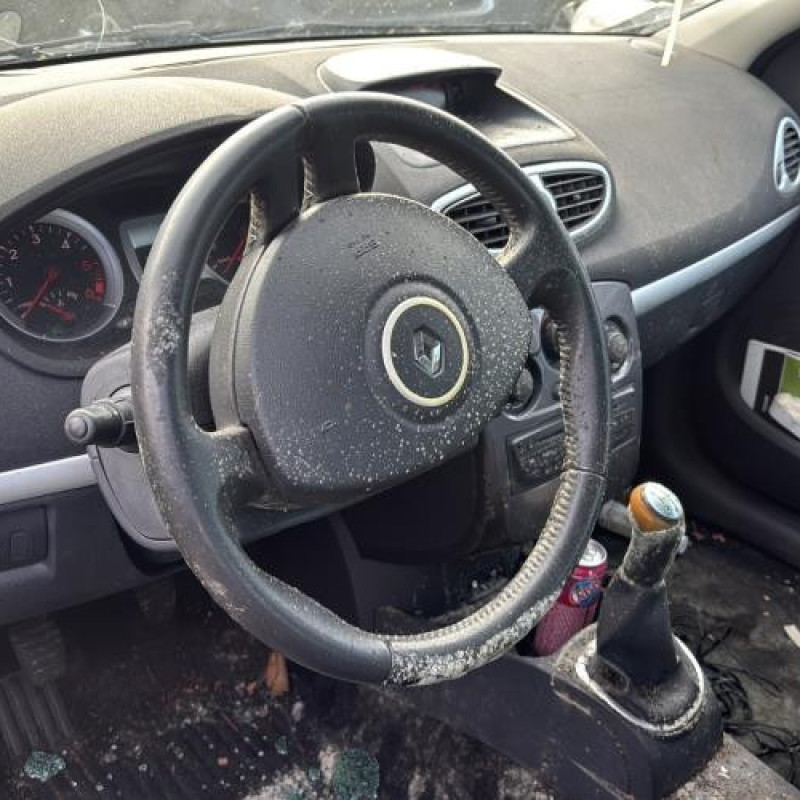 Custode arriere gauche (porte) RENAULT CLIO 3 Photo n°16