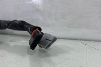 Neiman RENAULT EXPRESS