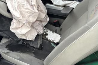 Custode arriere gauche RENAULT TWINGO 2