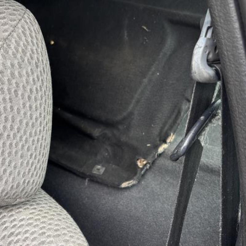 Custode arriere droit RENAULT CLIO 2 Photo n°15