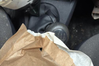 Custode arriere droit RENAULT CLIO 2