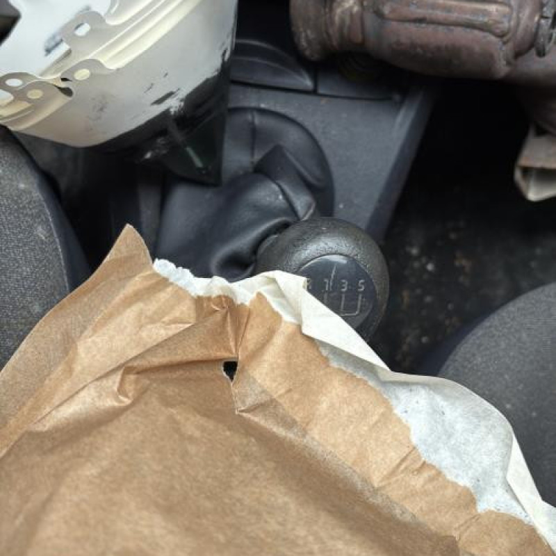 Custode arriere droit RENAULT CLIO 2 Photo n°19