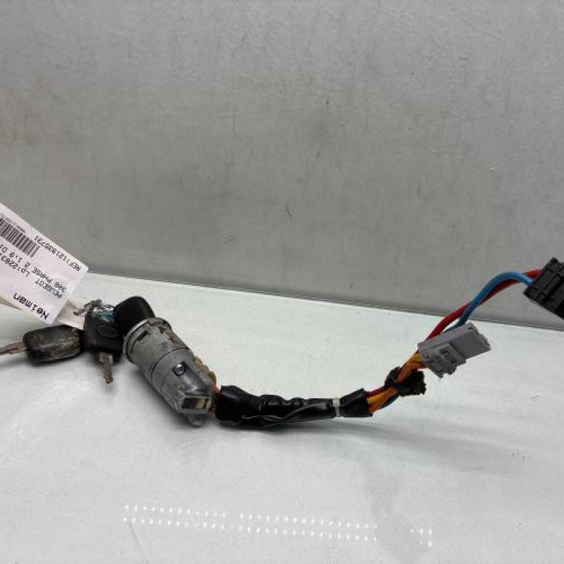 Neiman PEUGEOT 306 Photo n°1