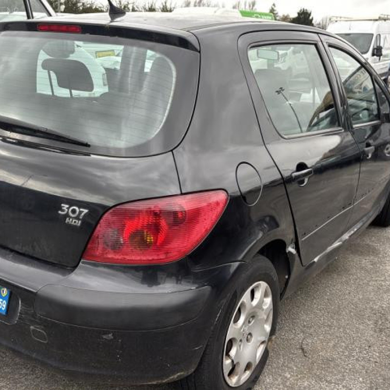 Custode avant droit (porte) PEUGEOT 307 Photo n°6