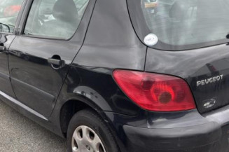 Custode avant droit (porte) PEUGEOT 307
