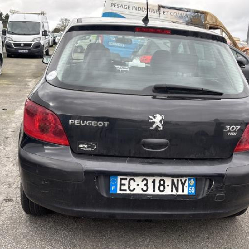 Custode avant droit (porte) PEUGEOT 307 Photo n°8
