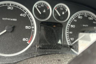 Custode avant droit (porte) PEUGEOT 307