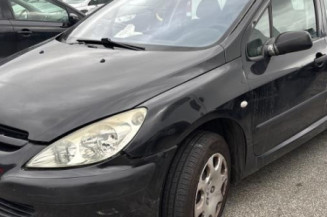 Custode avant gauche (porte) PEUGEOT 307