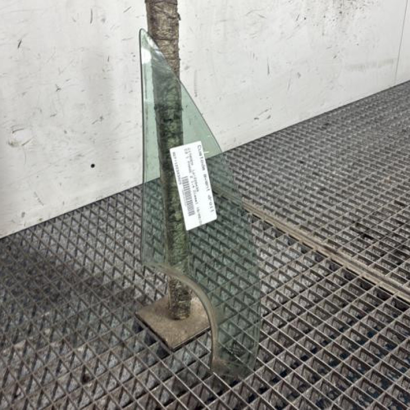 Custode avant droit (porte) CITROEN C3 1 Photo n°2