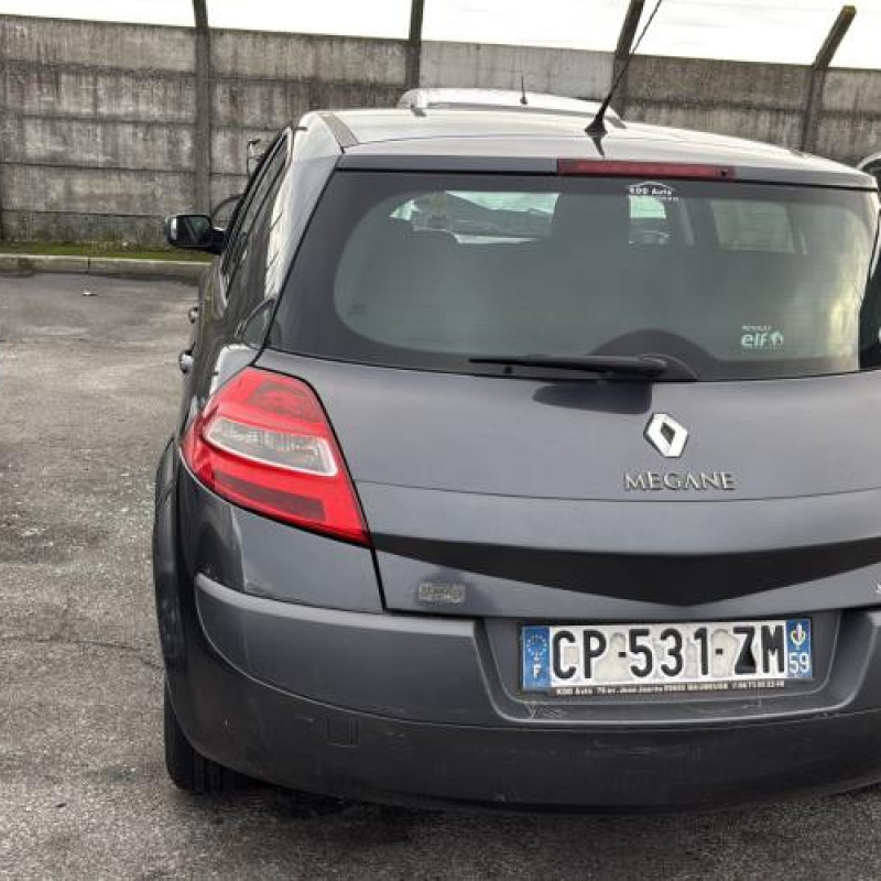 Etrier arriere gauche (freinage) RENAULT MEGANE 2 Photo n°8