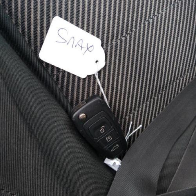 Custode arriere droit FORD S-MAX 1 Photo n°7