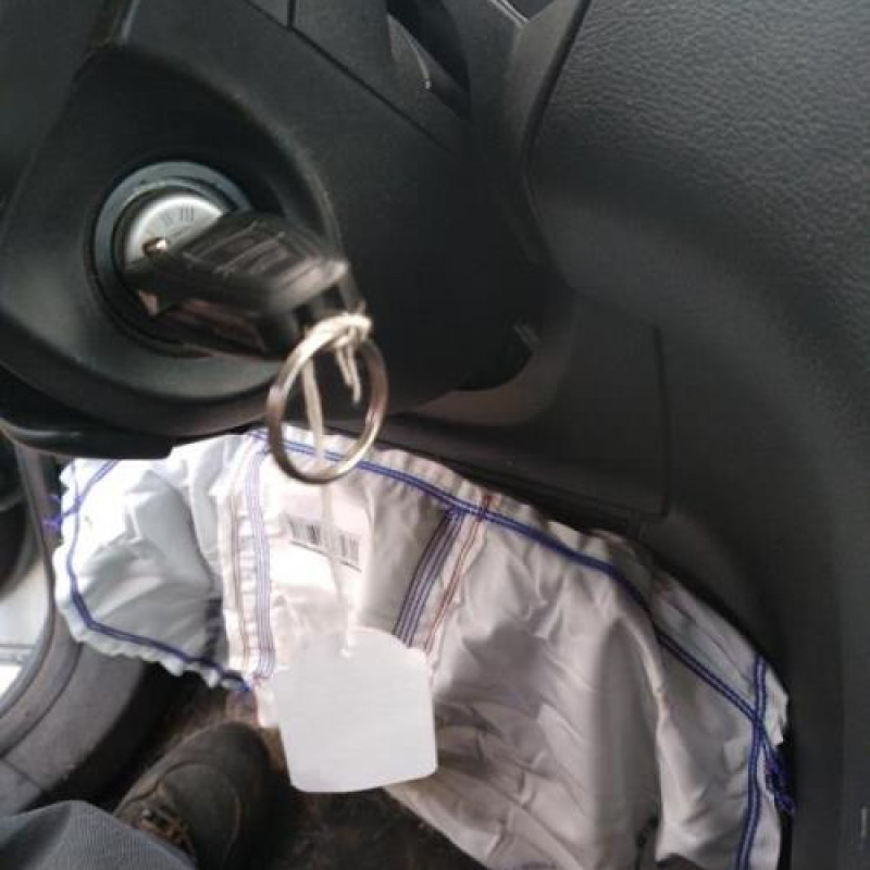 Custode arriere droit FORD S-MAX 1 Photo n°10