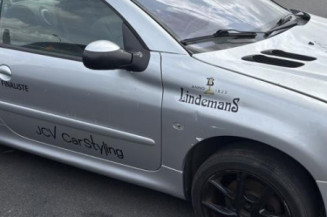 Interrupteur de leve vitre PEUGEOT 206