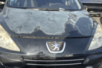 Poignee porte avant gauche PEUGEOT 307