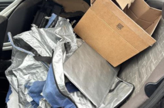 Poignee porte arriere gauche DACIA SANDERO 1