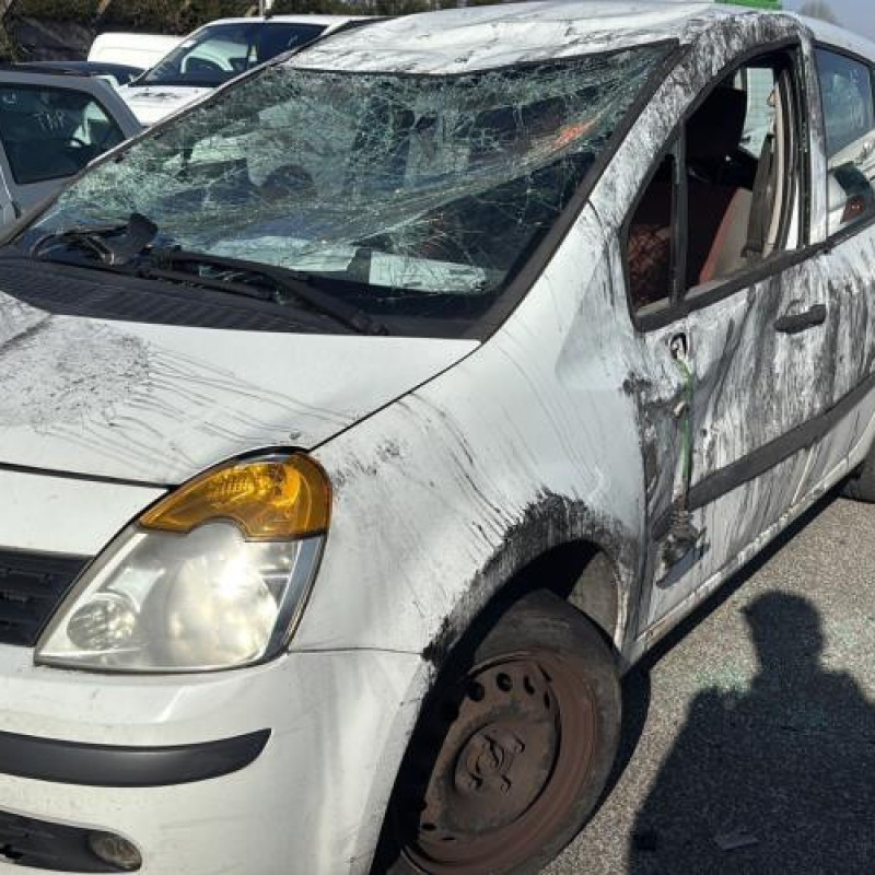 Poignee interieur arriere gauche RENAULT MODUS Photo n°4