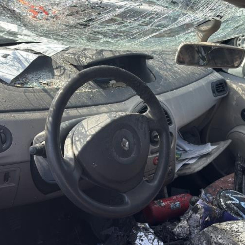 Poignee interieur arriere gauche RENAULT MODUS Photo n°13