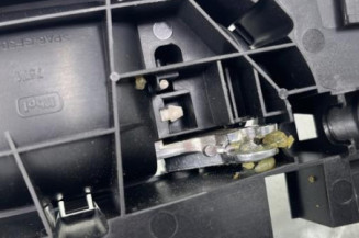 Poignee interieur arriere gauche CITROEN C4 PICASSO 2