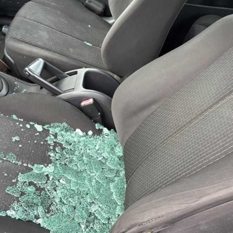 Pedale d'accelerateur RENAULT MEGANE 2 Photo n°14