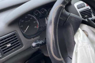 Jante PEUGEOT 307