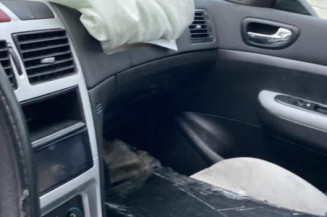 Jante PEUGEOT 307