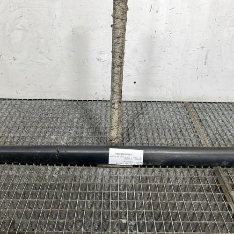 Baguette de porte avant gauche PEUGEOT 207 Photo n°1